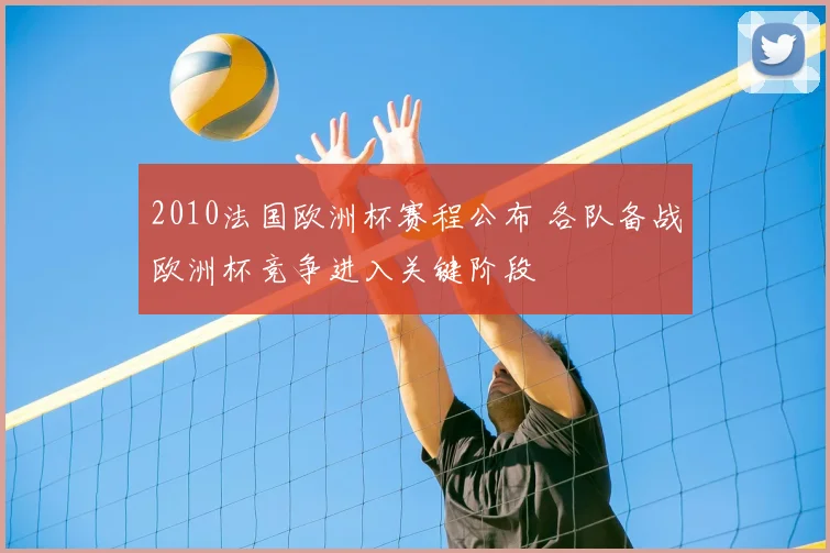 2010法国欧洲杯赛程公布 各队备战欧洲杯竞争进入关键阶段