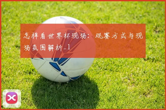怎样看世界杯现场:观赛方式与现场氛围解析_1