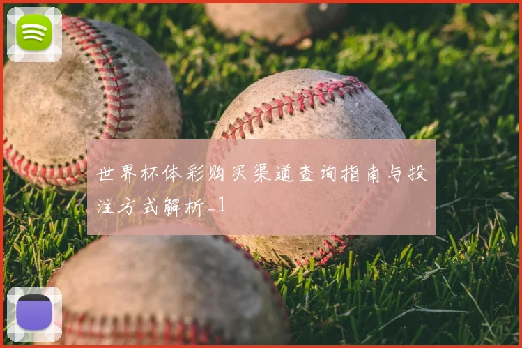 世界杯体彩购买渠道查询指南与投注方式解析_1