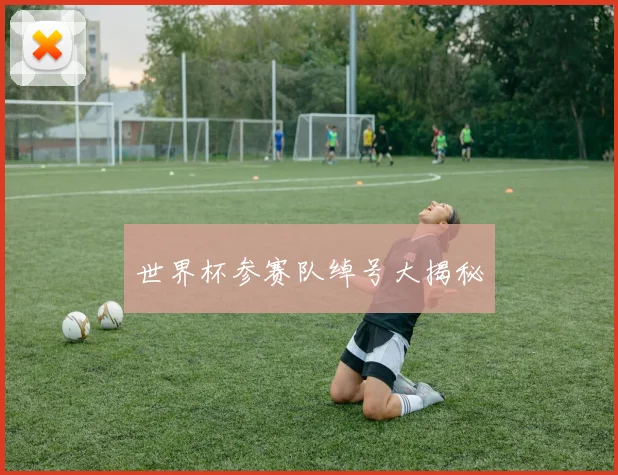 世界杯参赛队绰号大揭秘
