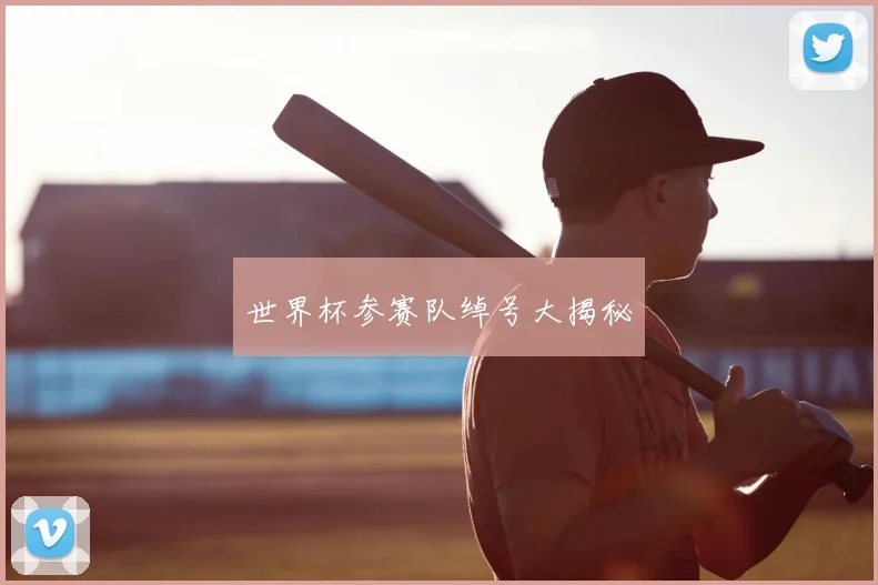 世界杯参赛队绰号大揭秘
