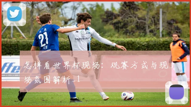 怎样看世界杯现场:观赛方式与现场氛围解析_1